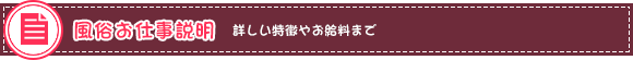 風俗お仕事説明